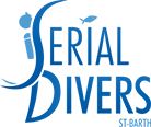 Serial Divers