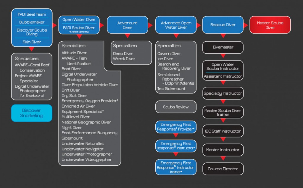 Synoptique des niveaux de plongeurs et de professionnels PADI