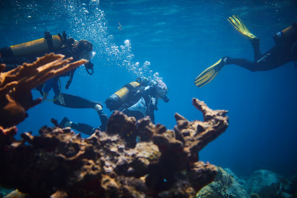 Plongée — Serial Divers Saint-Barth