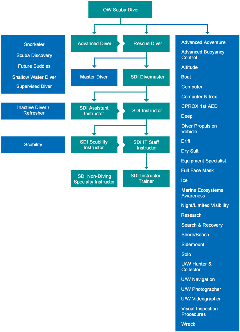 Synoptique des niveaux de plongeurs et de professionnels SDI