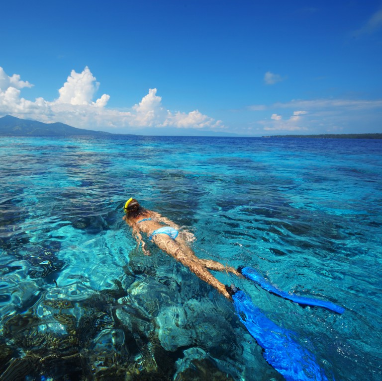 Snorkeling — Serial Divers Saint-Barth