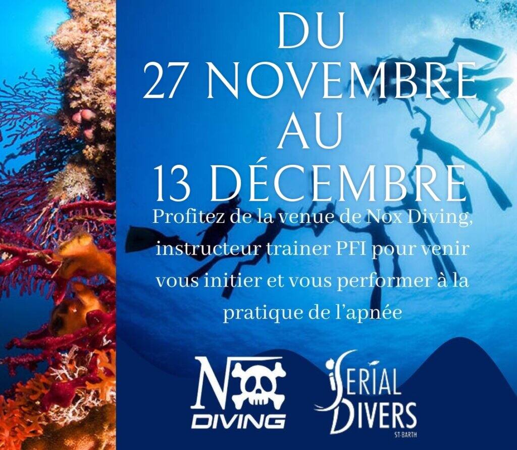 Nox Diving à Saint-Barth du 27 novembre au 13 décembre : initiation et perfectionnement à l'apnée avec un instructeur trainer PFI